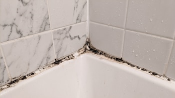 Cómo limpiar la silicona del baño cuando se pone negra