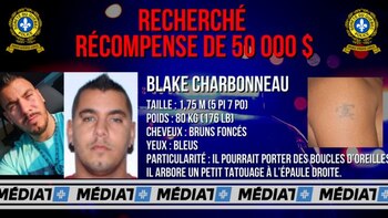 Ficha de búsqueda girada a