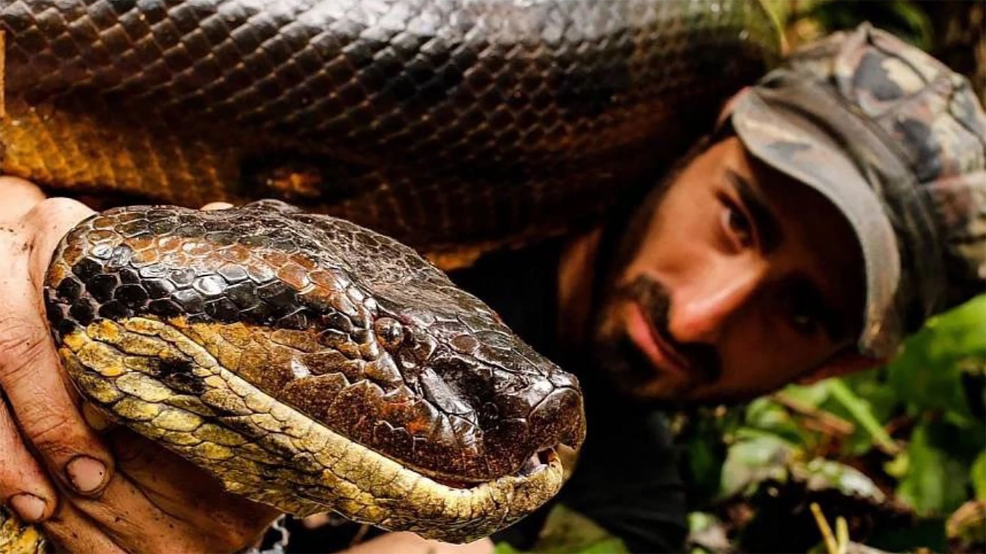 “Primero escuchás cómo se rompen tus huesos”: el estremecedor relato de un hombre que se dejó envolver por una anaconda y sobrevivió