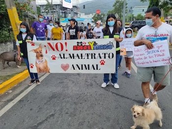 De aprobarse, la reforma fortalecería el marco legal hondureño en materia de protección animal, estableciendo sanciones más severas para quienes atenten contra la vida de seres considerados vulnerables. (FOTO: La Prensa)
