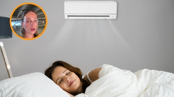 Composición Fotográfica Infobae (Tik Tok/@shelbyinsevilla)