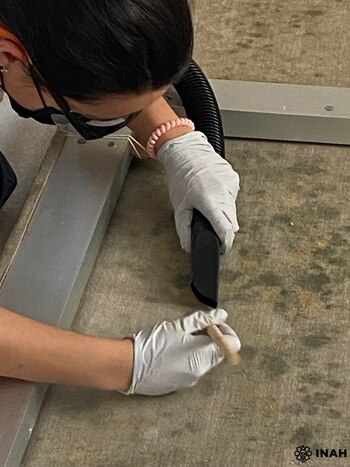 La imagen sufría una proliferación