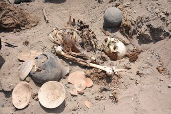 Dos adultos y un neonato