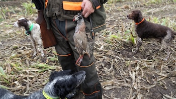 El Gobierno de Page critica