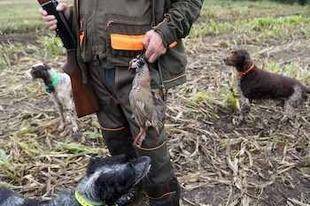 Cazador el primer día de