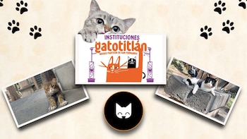 Realizarán festival a favor de