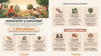 Infografía dividida en dos partes sobre el programa Sembrando Vida con una ilustración de campesinos plantando árboles y recuadros con cifras.