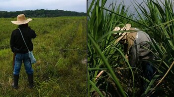 Estos serían los beneficiados con