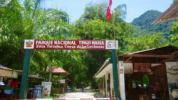 Con la Bella Durmiente vigilando