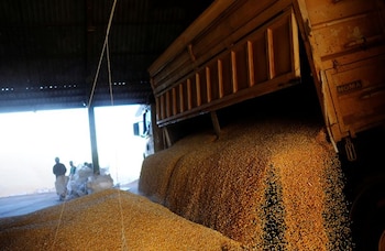 La medida facilita la contratación