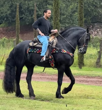 (IG: @nodal // @angela_aguilar_)