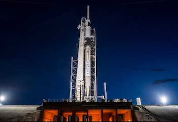 Parte de la deformación cerebral