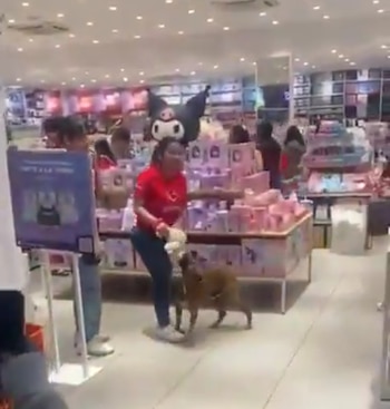 Visitantes de la tienda colaboraron