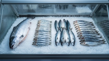 Una heladera con un salmón, varias sardinas, varias caballas y varios arenques sobre una cama de hielo picado.