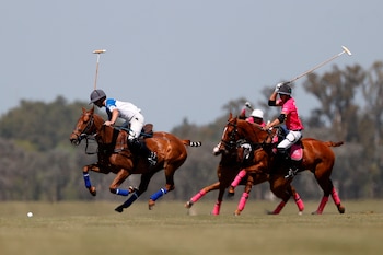 Argentina se encuentra a la