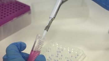 CSIF pide duplicar la financiación