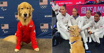 Beacon tiene un instagram con