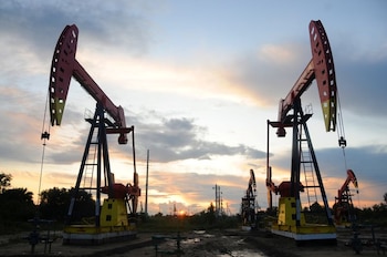 Se observan bombas de extracción de petróleo al atardecer en el campo petrolífero de Daqing, en la provincia de Heilongjiang, China (REUTERS/Archivo)