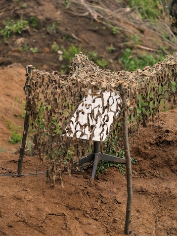 FILE — A Starlink terminal camouflaged with a net near the eastern frontline in the Donetsk region of Ukraine in the summer of 2023. A huge attack cut power to 600,000 people in Kyiv, and a Pentagon-funded satellite program appeared to be curbed without warning. (Sasha Maslov/The New York Times)