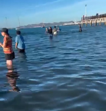 Turistas y trabajadores del malecón