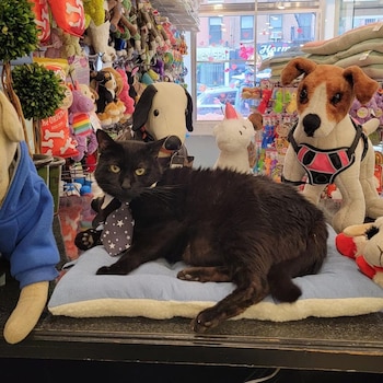 Jeremy convive la mayor parte