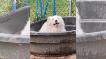 La historia y el legado