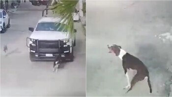 Internautas piden justicia (captura de