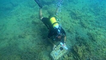 El naufragio fue localizado durante