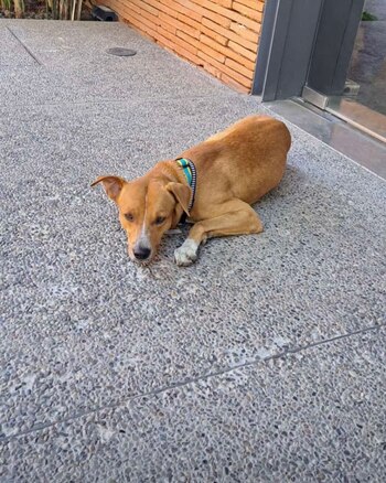 Los trabajadores del lugar aseguraron