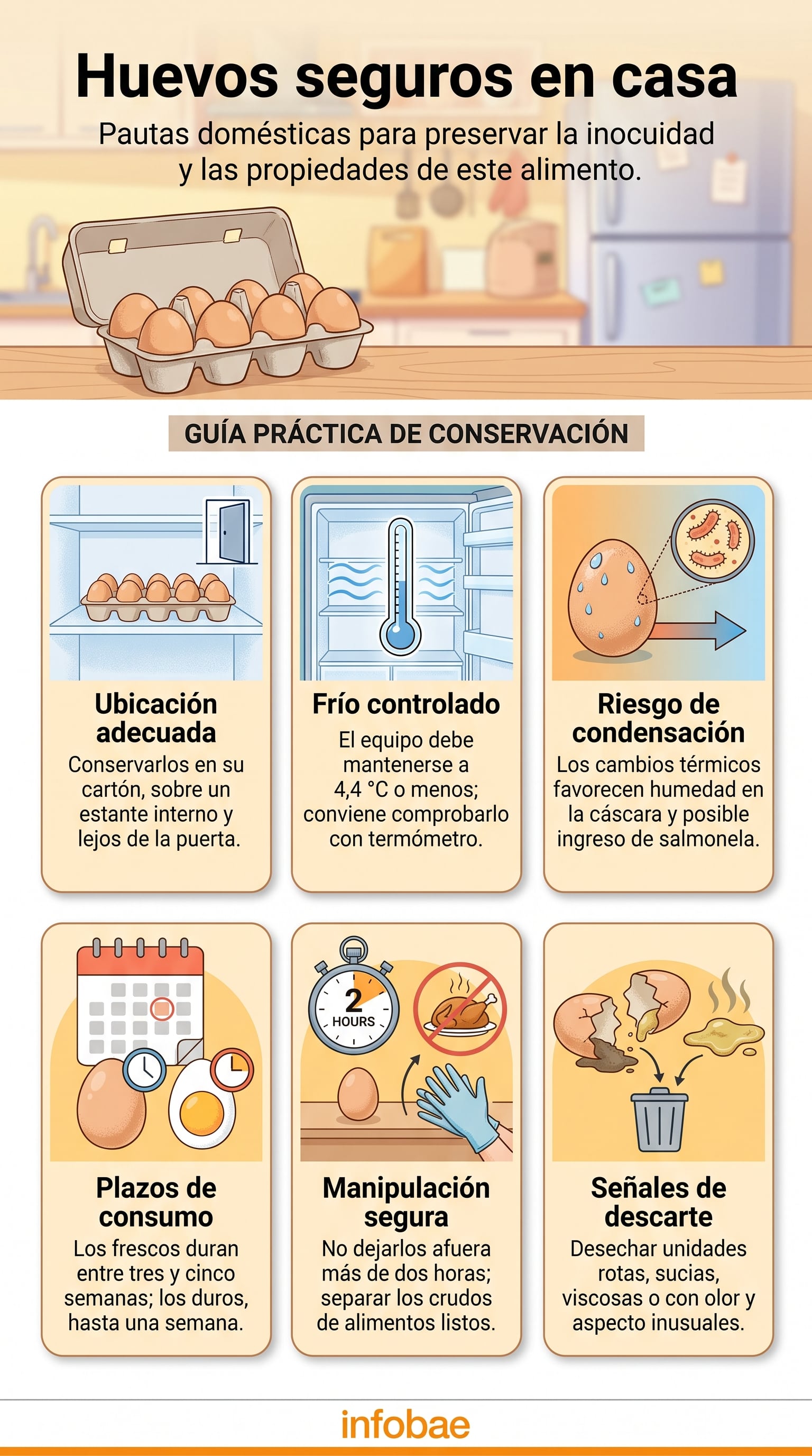 La caja original protege los huevos de los olores de otros alimentos. (Imagen Ilustrativa Infobae)