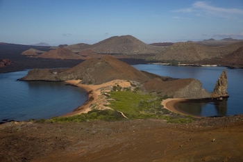 (Imagen Ilustrativa Infobae)