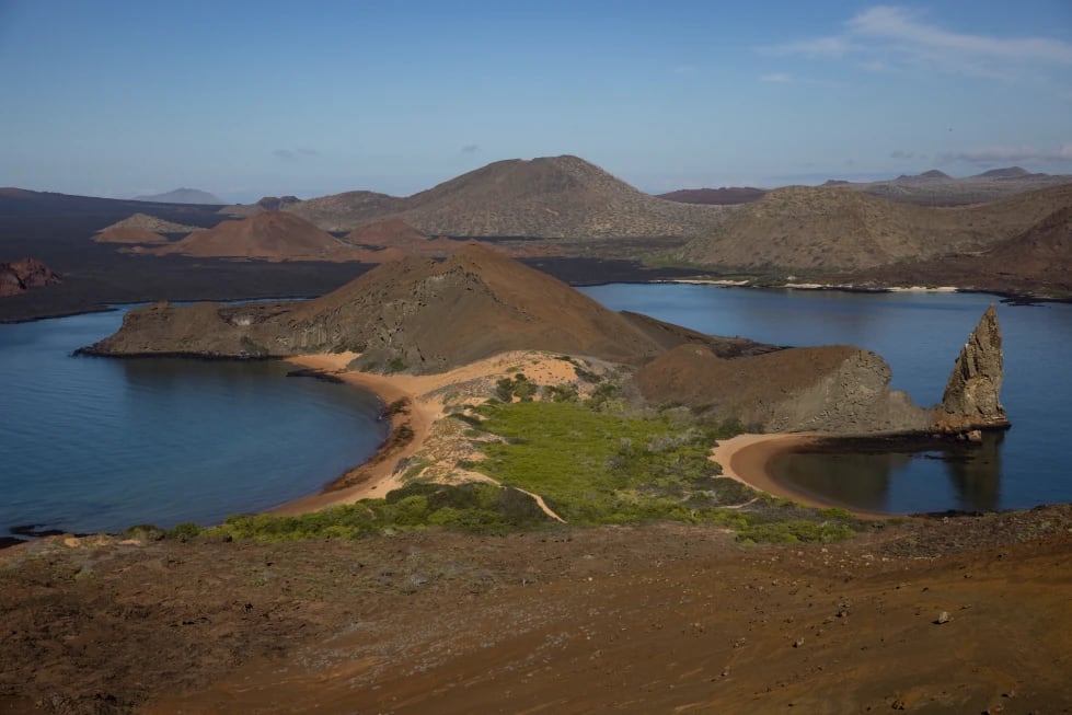 Un El Niño muy intenso podría poner en riesgo la biodiversidad de Galápagos por el aumento de la temperatura del mar y las lluvias previstas. (AP/Alie Skowronski, archivo)
