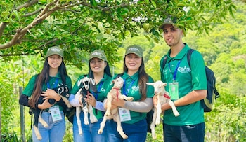 El Banco Central de Reserva