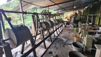 La Fiscalía interviene un gigantesco