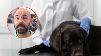 Alfredo Molina, veterinario: “Este es el error que cometen muchas familias cuando llega el final de la vida de sus mascotas”