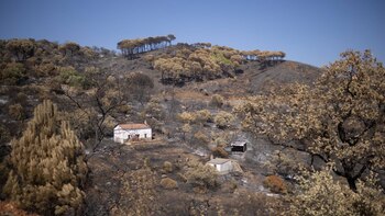 El Gobierno declara zona afectada gravemente a municipios afectados por los terremotos y el incendio de Niebla