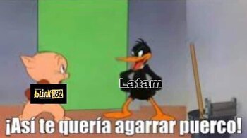 Memes por cancelación de conciertos