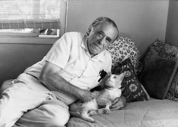El escritor y poeta Charles Bukowski con sus gatos
