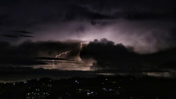 Rayo mató 44 reses en