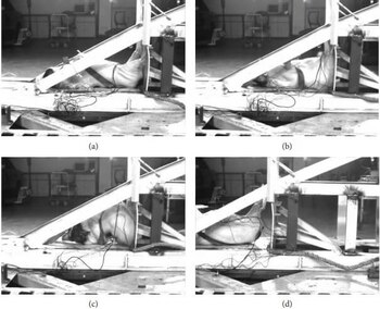 Otra de las imágenes mostradas