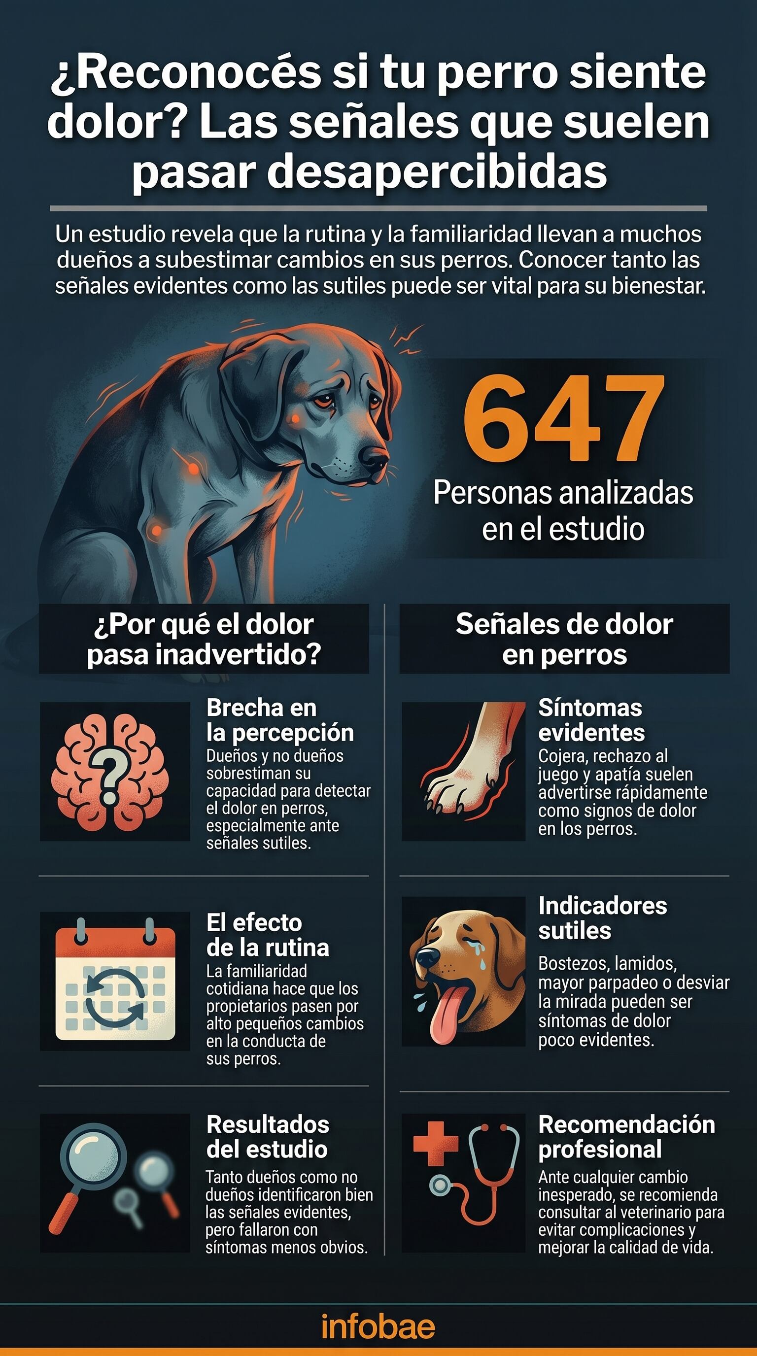 El estudio de la revista PLOS ONE analizó la habilidad de más de 600 personas para identificar signos de dolor en perros (Imagen Ilustrativa Infobae)