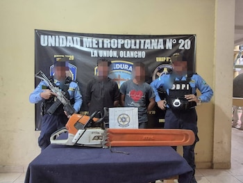 Un total de siete personas resultaron detenidas por el corte y transporte ilegal de productos forestales.