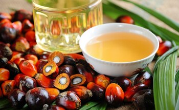 El encarecimiento del aceite de palma, el más popular e históricamente muy barato, potenció los negocios con aceites de soja y girasol (Revista Chacra)