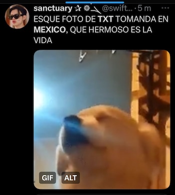memes