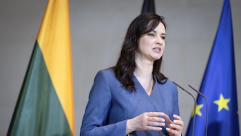 Lituania investiga la entrada de