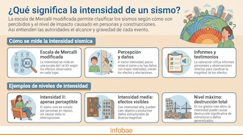 Infografía con título, secciones sobre medición de intensidad sísmica, ejemplos de niveles, escala Mercalli, personas y edificios.