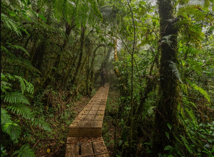 Este espacio forma parte de la zona conocida como Trifinio en El Salvador. /(Ministerio de Medio Ambiente y Recursos Naturales)