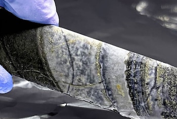 23/01/2024 Comunidades microbianas complejas en