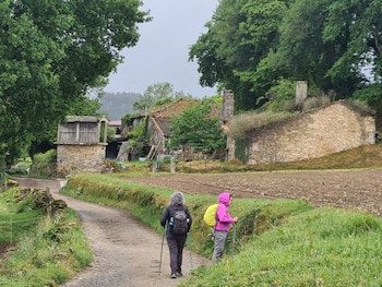 Camino de Santiago