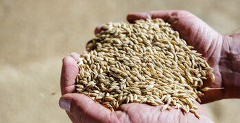 Se prevén los stocks finales